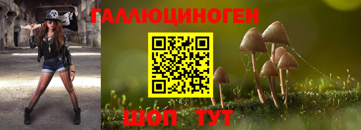 Гусиноозёрск  Псилоцибиновые грибы GOLDEN TEACHER  Вход с VPN 