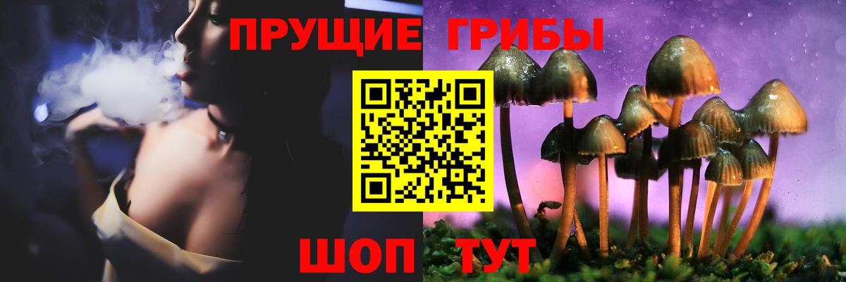 Псилоцибиновые грибы Psilocybine cubensis  закладка  Галлюциногенные грибы мицелий  Гусиноозёрск 